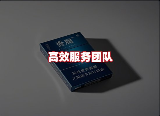 专业团队